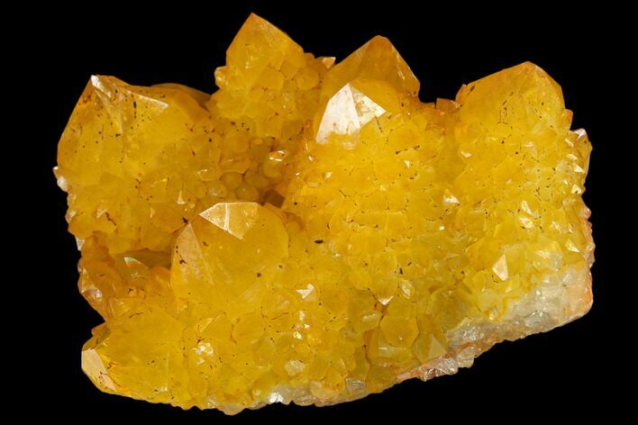 Sunshine Cactus Quartz Crystal Cluster - South Africa #132884